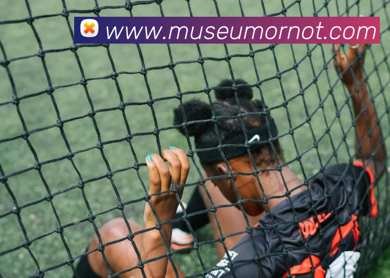 体育App